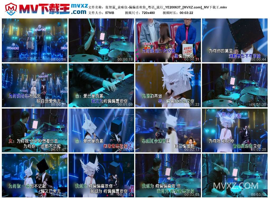 张智霖_袁咏仪-偏偏喜欢你_粤语_流行_YE200637